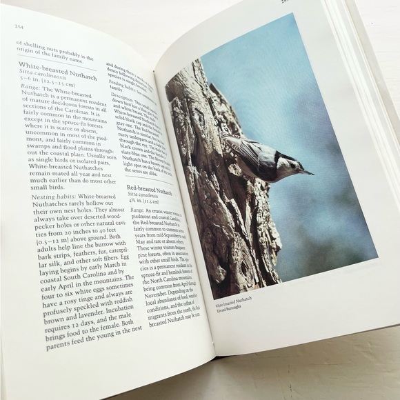 Birds of the Carolinas Book - Picture 5 of 6